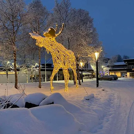 ホテル Radisson Blu Mountain Resort. *